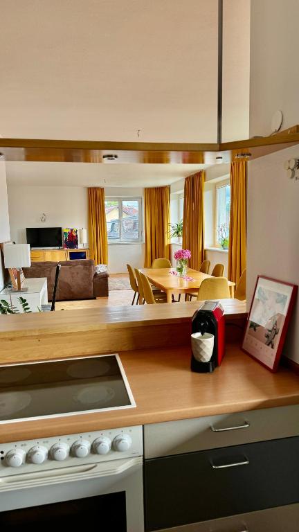 Kuchyň nebo kuchyňský kout v ubytování Apartment Römerhaus