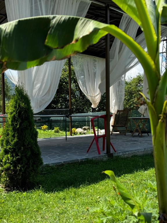 Zahrada ubytování Aghdepat GLAMPING