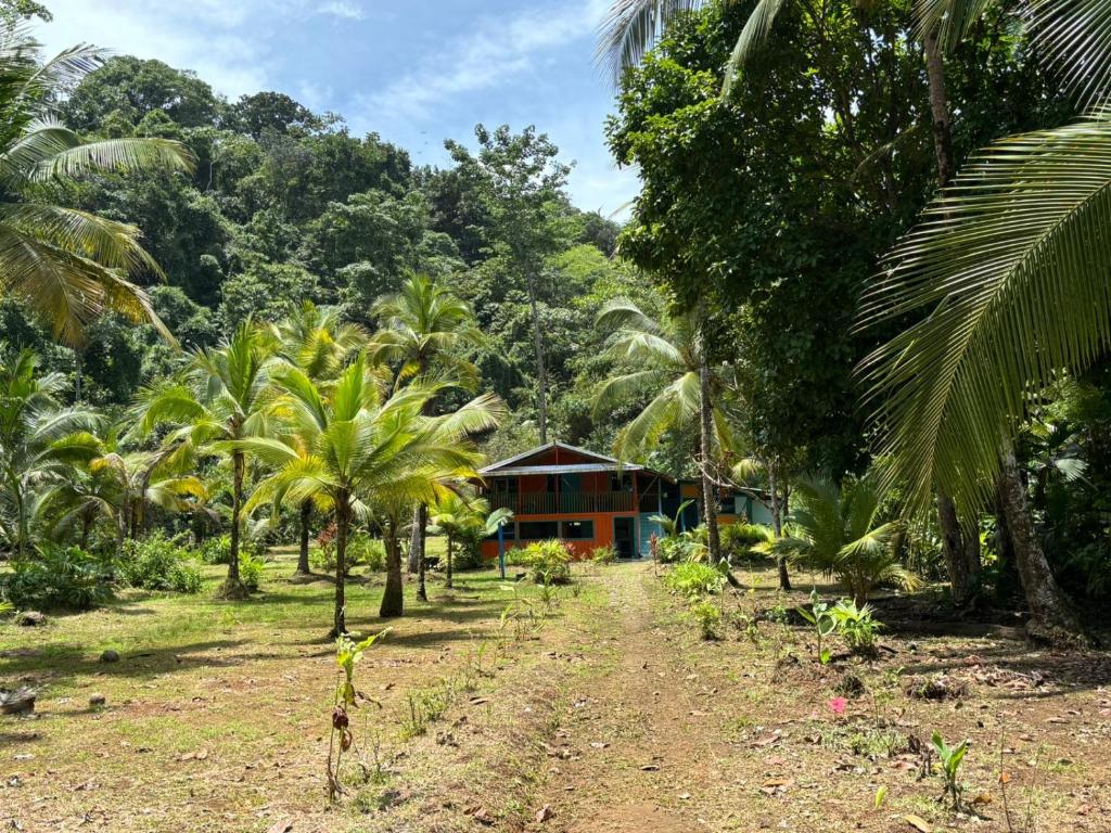 una strada sterrata di fronte a una casa con palme di Mar y Selva a El Valle