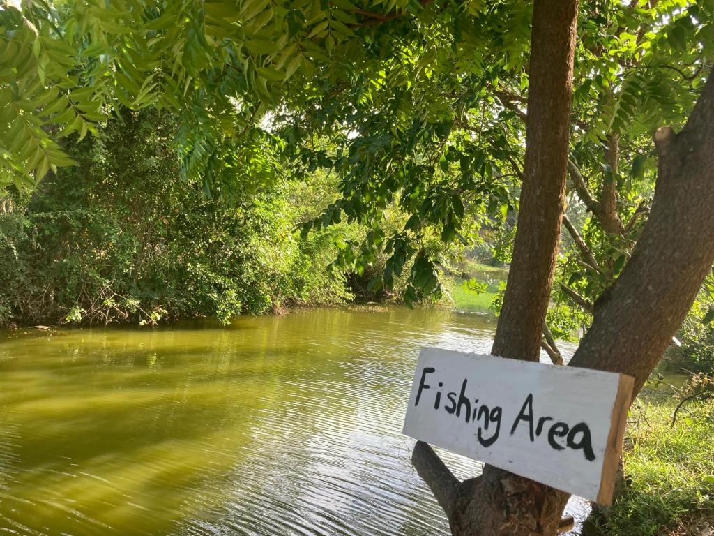 Příroda nedaleko apartmánu
