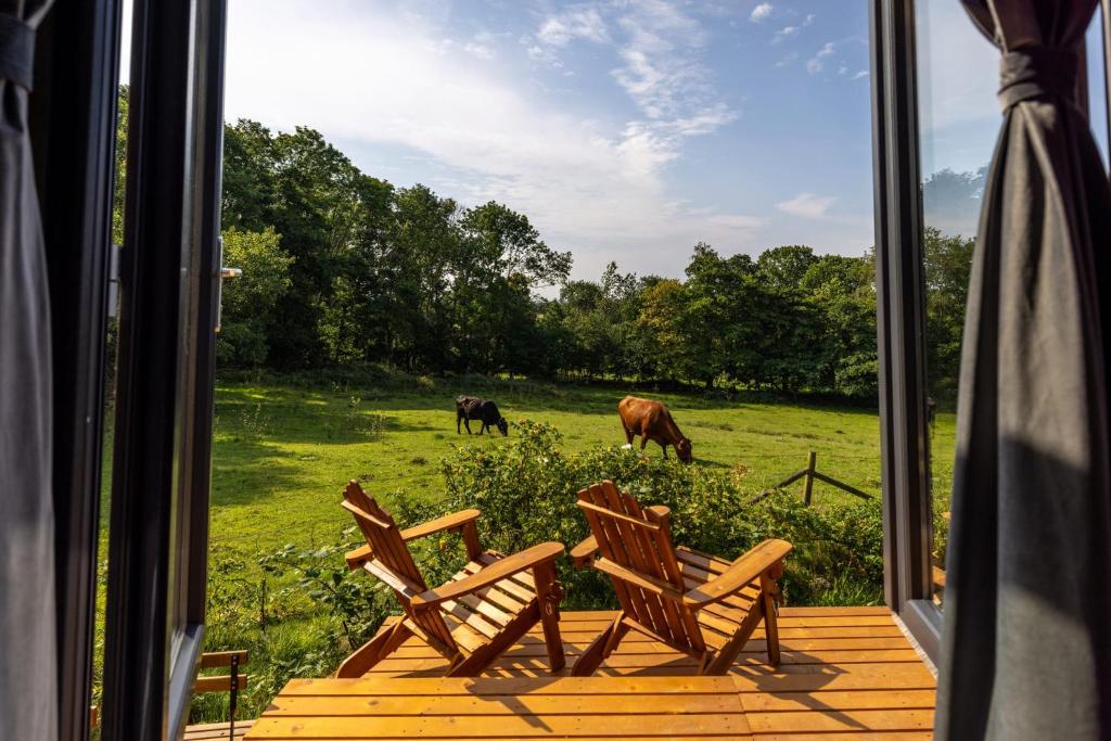 Zahrada ubytování Kullaberg Tiny House by Tiny Away