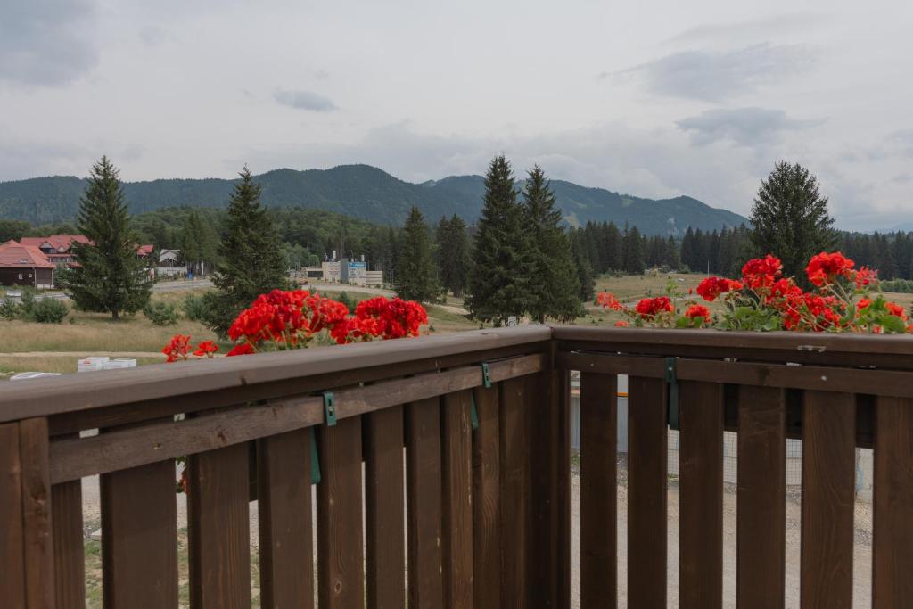 Grand Chalet Aparthotel - Resim 26