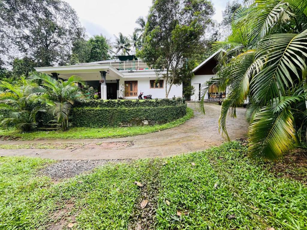 a house with a palm tree in front of it at EAST STAVANGER in Anaviratty