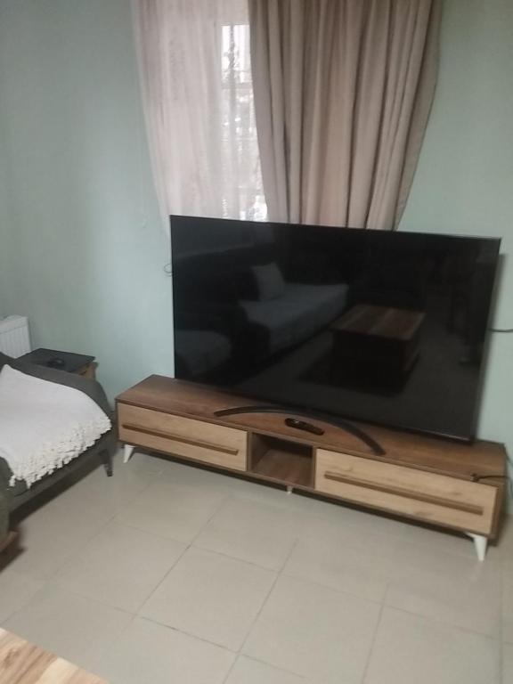 TV a/nebo společenská místnost v ubytování guest house MyOni