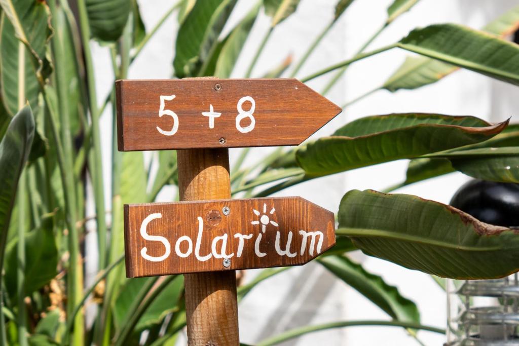 Alsol El Chaparral - 19