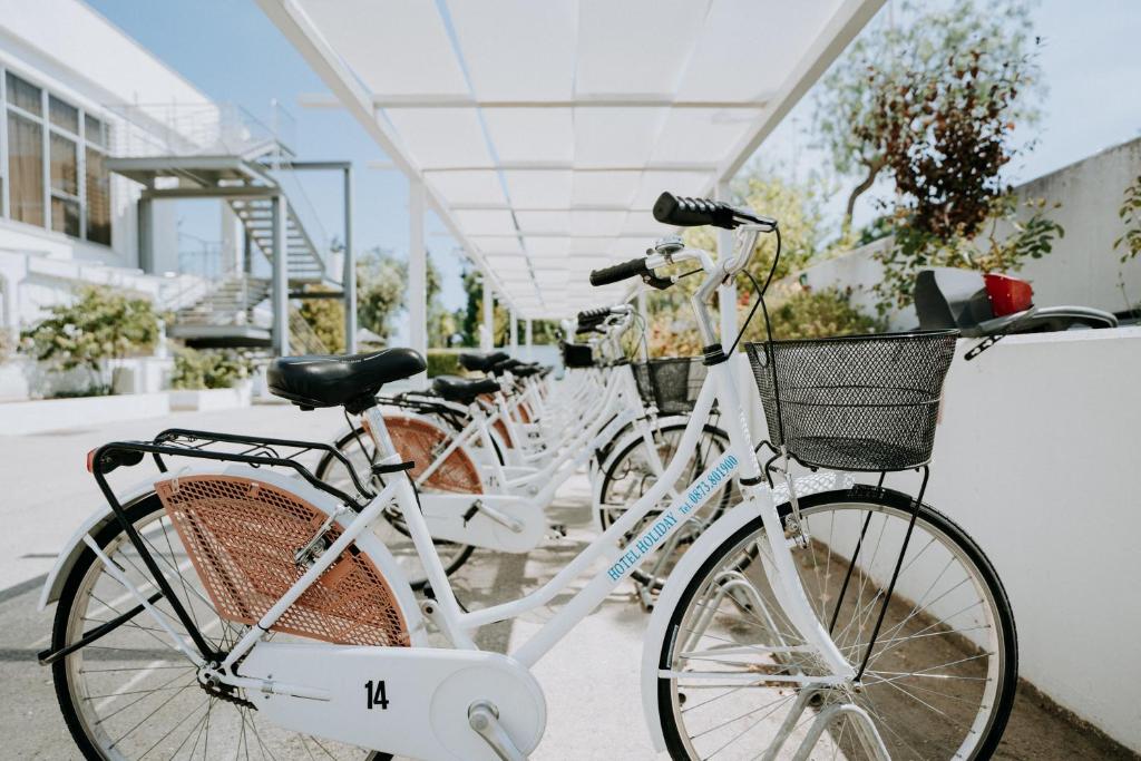 Jízda na kole v ubytování Hotel Holiday nebo okolí