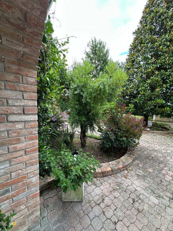 Zahrada ubytování B&B La Giganta