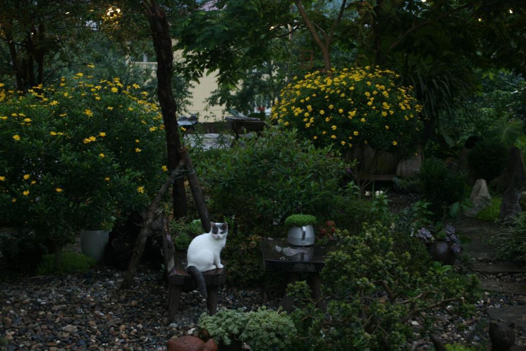 a garden with a statue of a cat sitting on a swing at Sa Moc & La Maison SAPA - Bungalows in Sa Pa