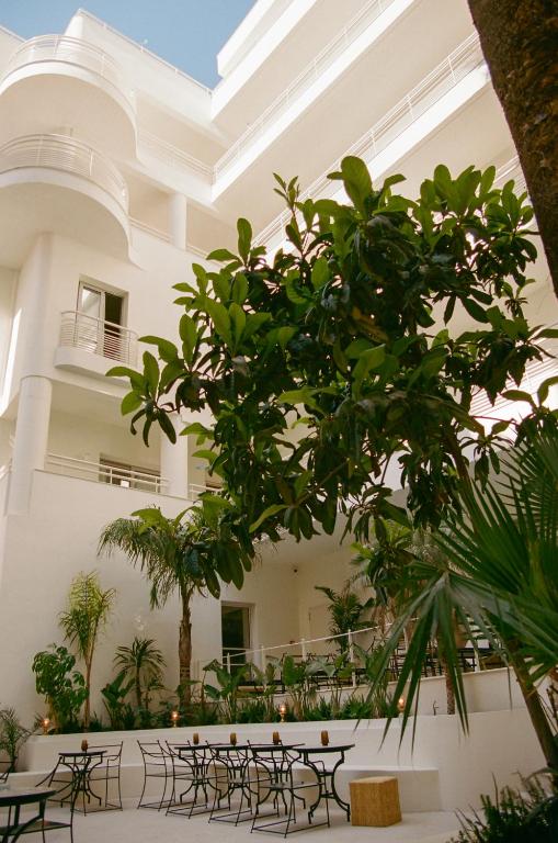 Apollo Palm Hotel - Resim 17