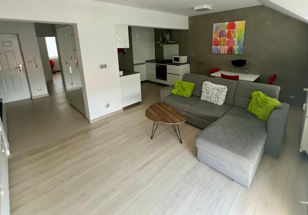 Kuchyňa alebo kuchynka v ubytovaní Luxury apartman Bojnice
