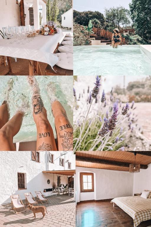 Fotografie z fotogalerie ubytování Casa Om v destinaci Dosríus