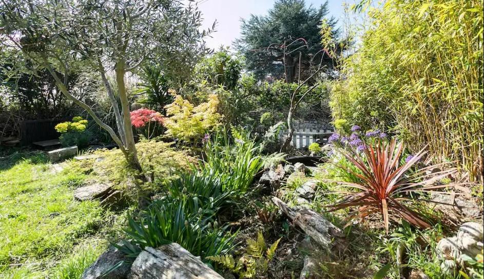 un jardin avec des plantes, des arbres et des rochers dans l'établissement Chambre de charme sur le GR 34 et la vélo route maritime, à Saint-Brieuc