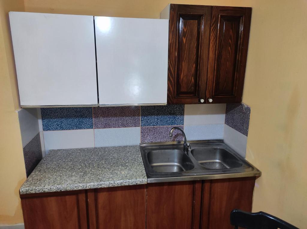 Kuchyň nebo kuchyňský kout v ubytování Vracar Affordable Suites - Vracar Povoljni Stanovi