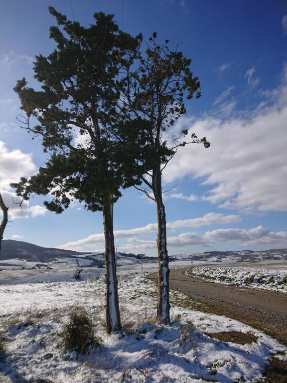 Affittacamere ALBA FIORITA - 11