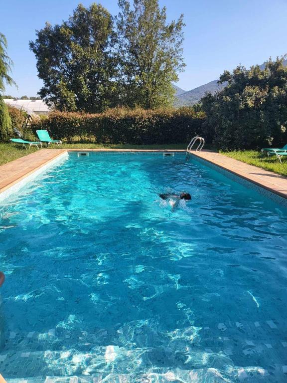 Bazén v ubytování HOTEL PASTERAL RIU TER nebo v jeho okolí