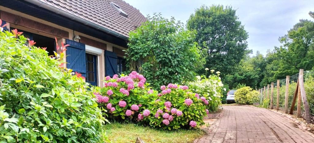 un jardin avec des fleurs roses à côté d'une maison dans l'établissement Beautiful villa touquettoise near the golf, à Le Touquet-Paris-Plage