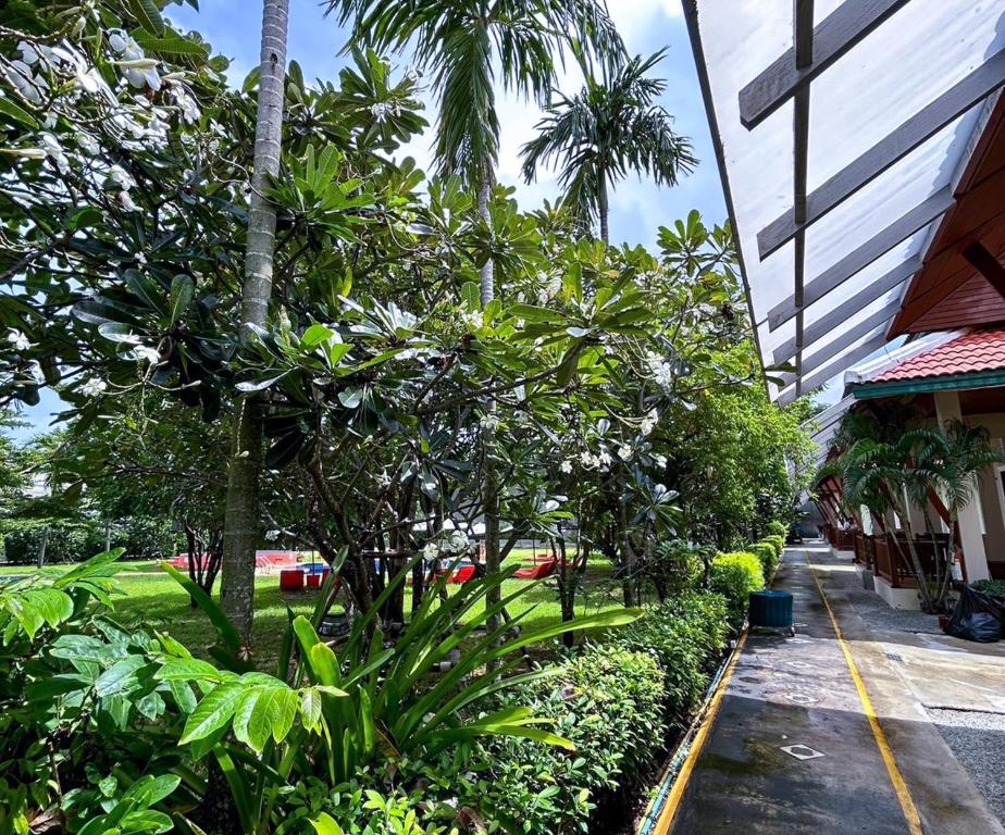 Kata Forte Resort - Resim 9