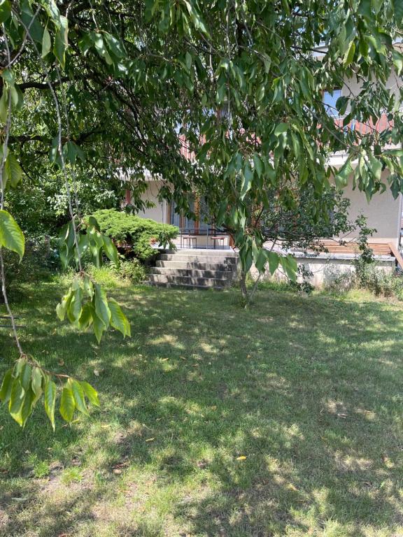 Zahrada ubytování Apartment s terasou Lysá