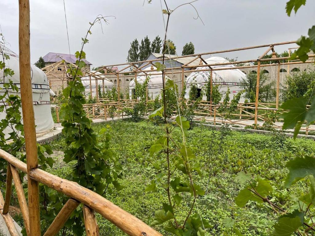 Shirin Ethno House - Bungalow De Luxe Avec Vue Sur Le Jardin