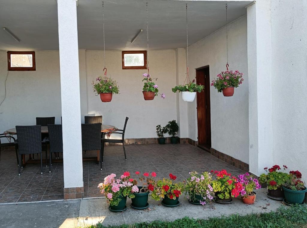 Zahrada ubytování Miki Private Room