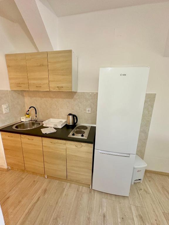 a kitchen with a white refrigerator and a sink at Montenegrina Apartment in Budva