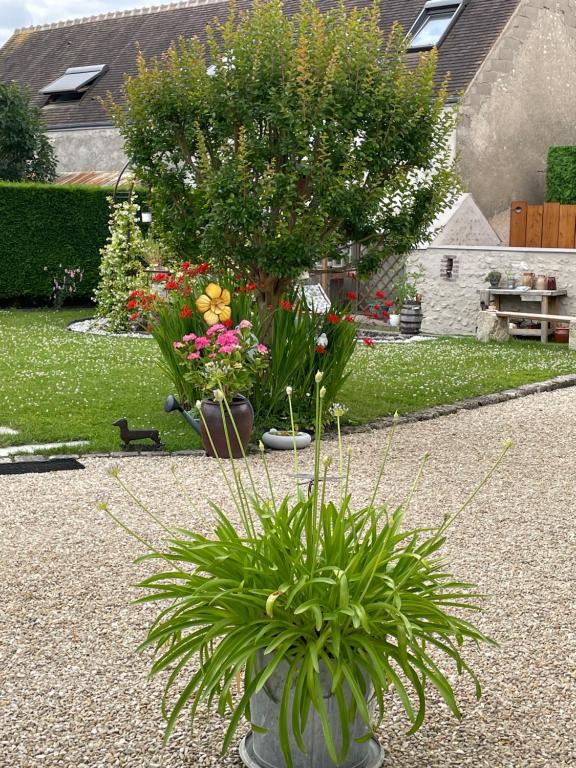 Le Clos du Q’hâtre - Double Room