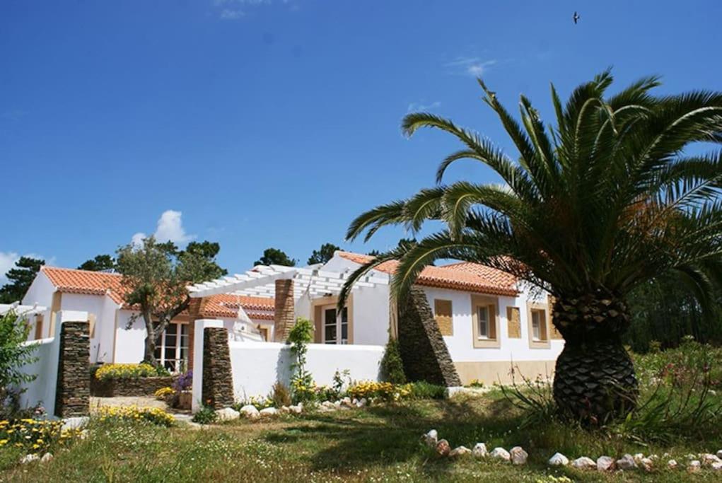 Κήπος έξω από το Casa Swagatam