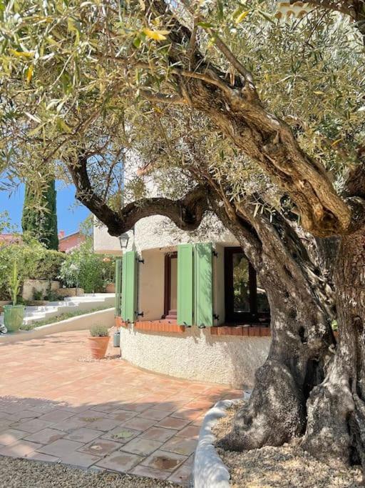 un grand arbre devant un bâtiment avec volets verts dans l'établissement Villa Bopénian - 400m plage & centre-ville Bandol, à Bandol