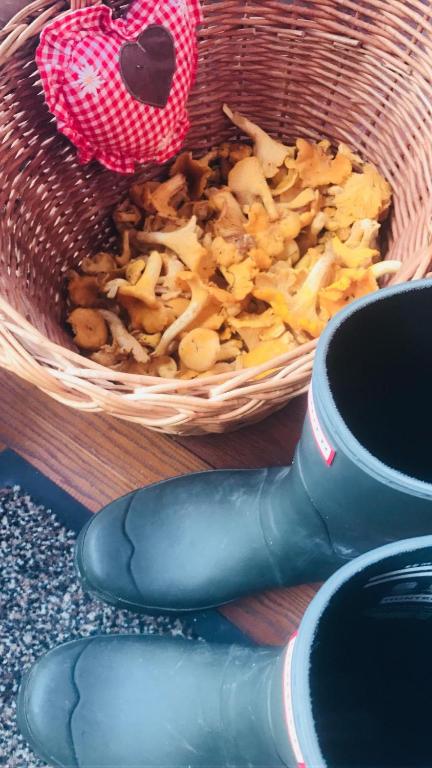 Kép Malerwinkel, Forsthaus szállásáról Bad Gasteinben a galériában
