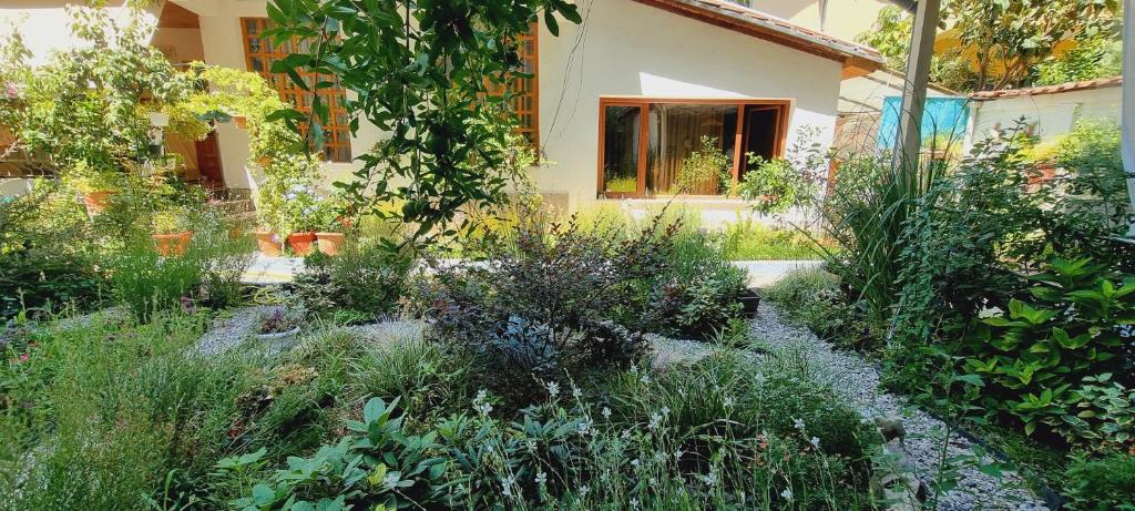 Zahrada ubytování Garden Guest House
