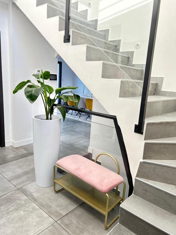 un escalier avec un banc et une plante en pot dans l'établissement Maison moderne et lumineuse, à Chennevières-sur-Marne
