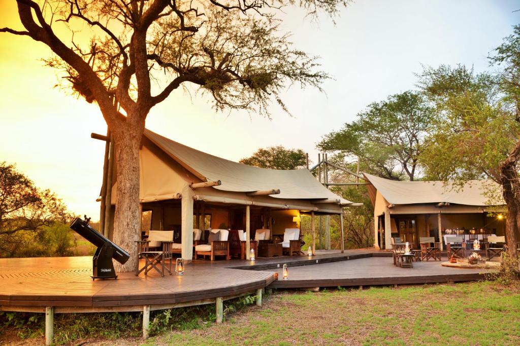Rhino Walking Safaris, Skukuza (updated prices 2025)