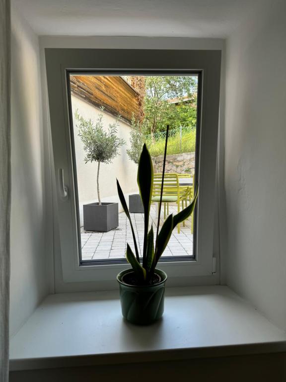 Zahrada ubytování Dottore Casa