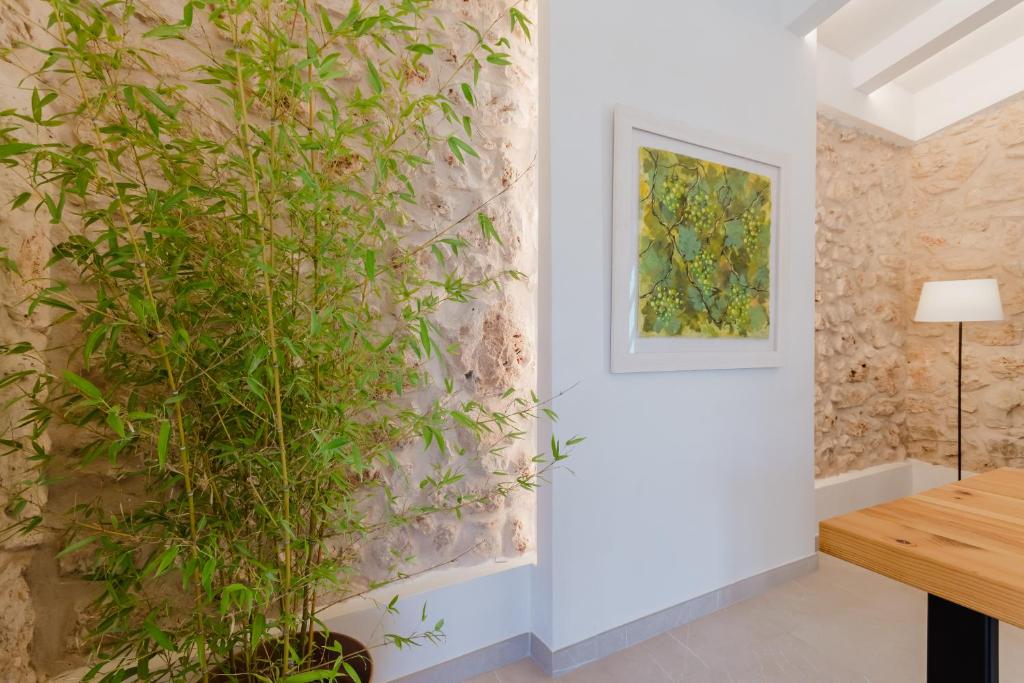 Fotografie z fotogalerie ubytování Finca Cas Pomer v destinaci Costitx