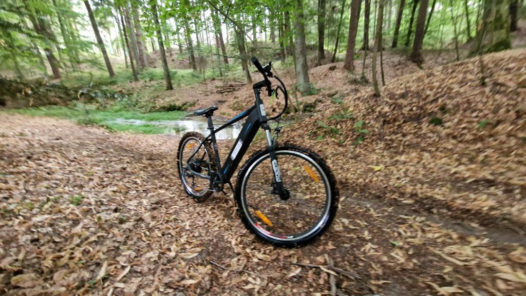 Jazda na bicykli v okolí ubytovania Wola Wielka - Domki Wygoda Nr1