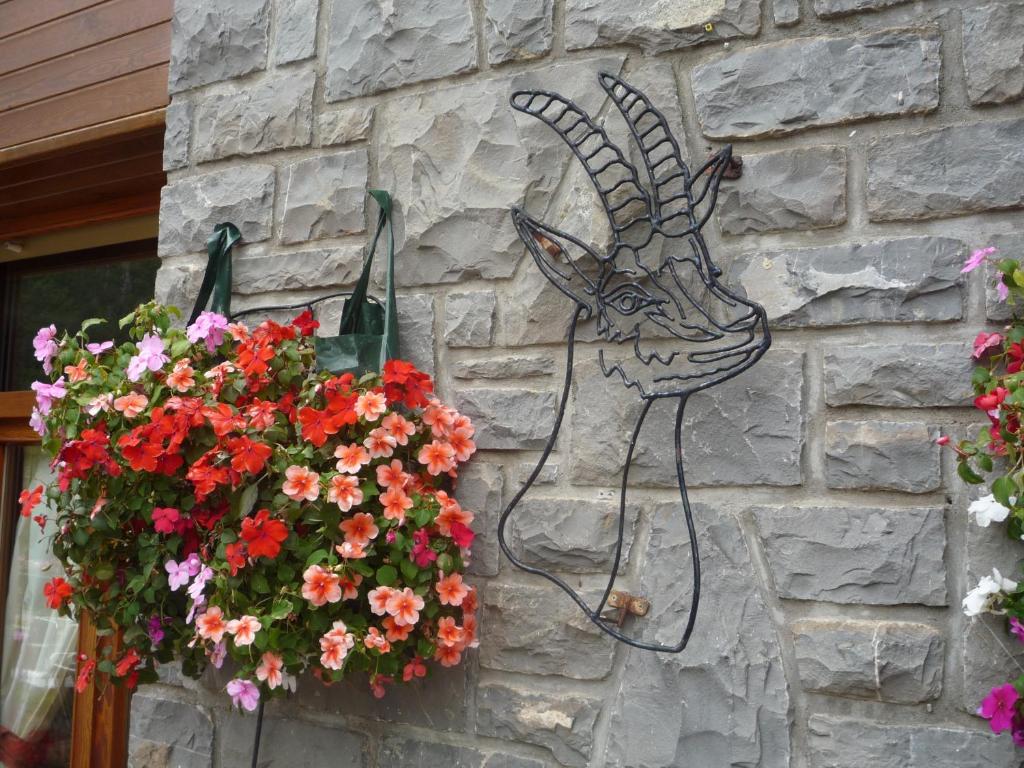 Fotografie z fotogalerie ubytování Edelweiss Hotel v destinaci Torla