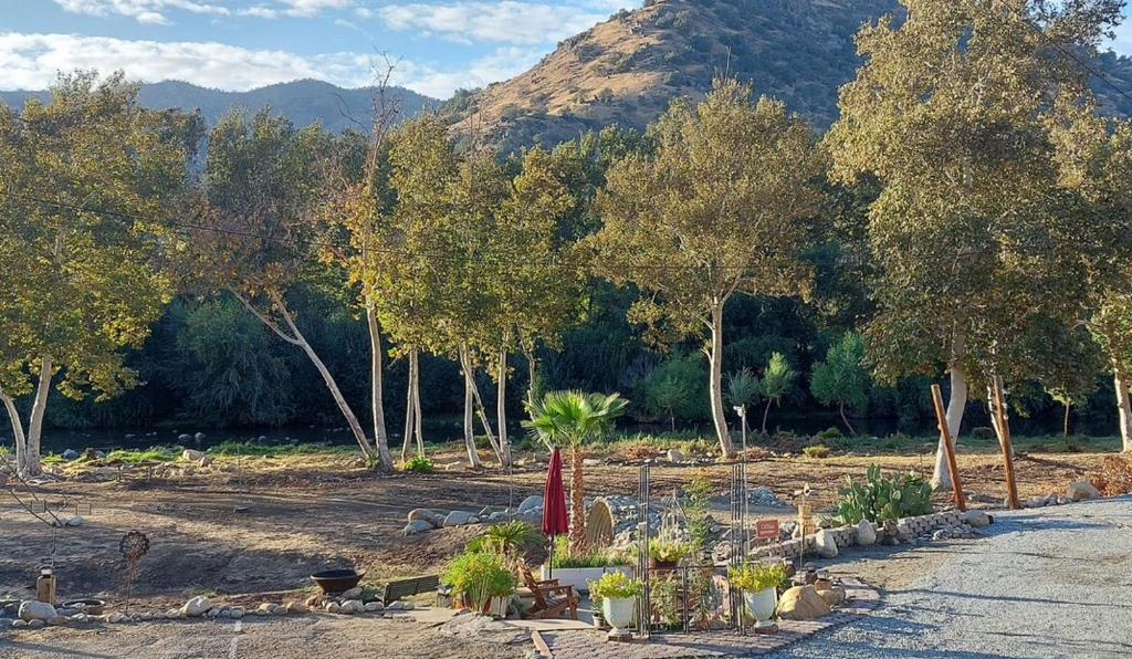 Sequoia River Front Cabins - Suite Mit Flussansicht