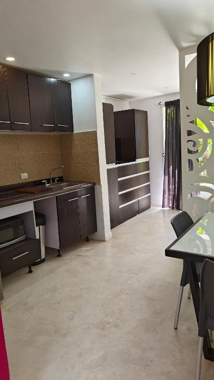 Kuchyň nebo kuchyňský kout v ubytování Tu Departamento en Mahahual