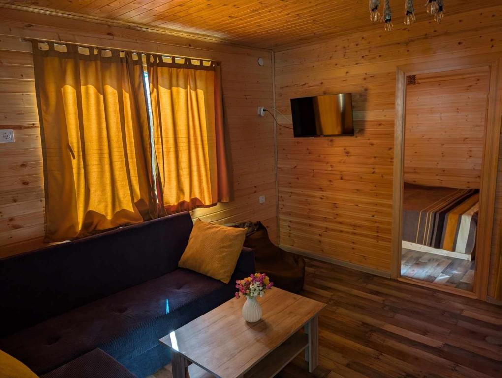 TV a/nebo společenská místnost v ubytování Krikhi Village