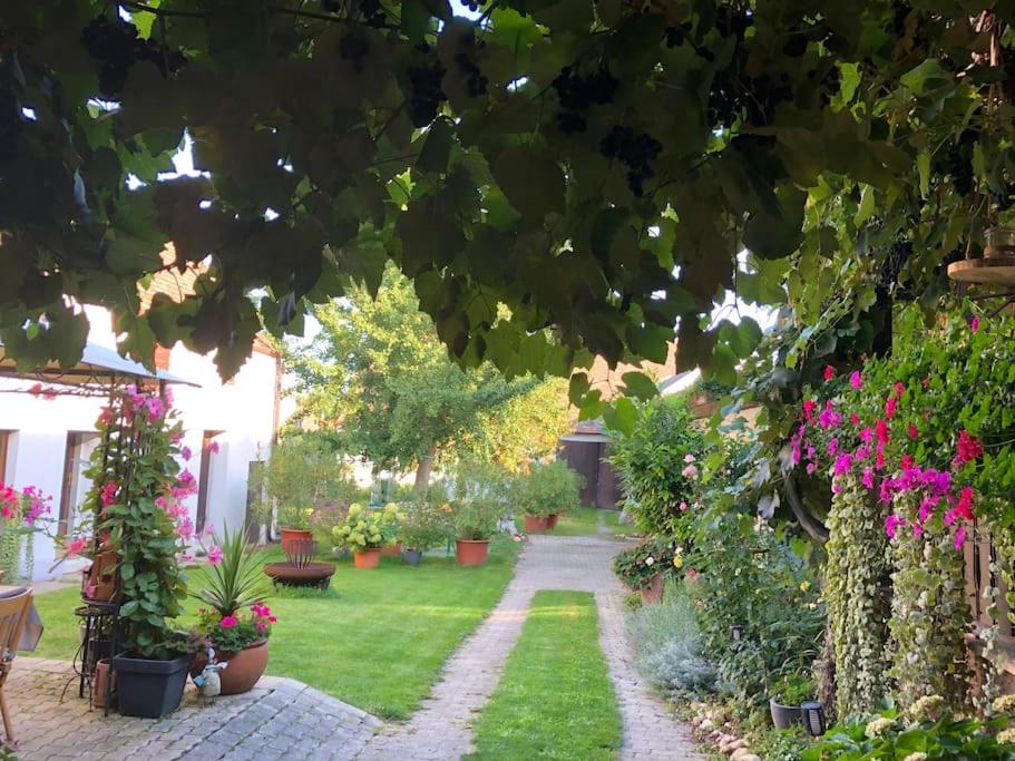 PöttelsdorfCharmantes Cottage Appartement的种满了植物和花卉的花园