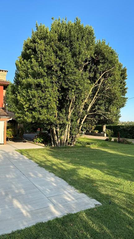 Zahrada ubytování B&B La Giganta