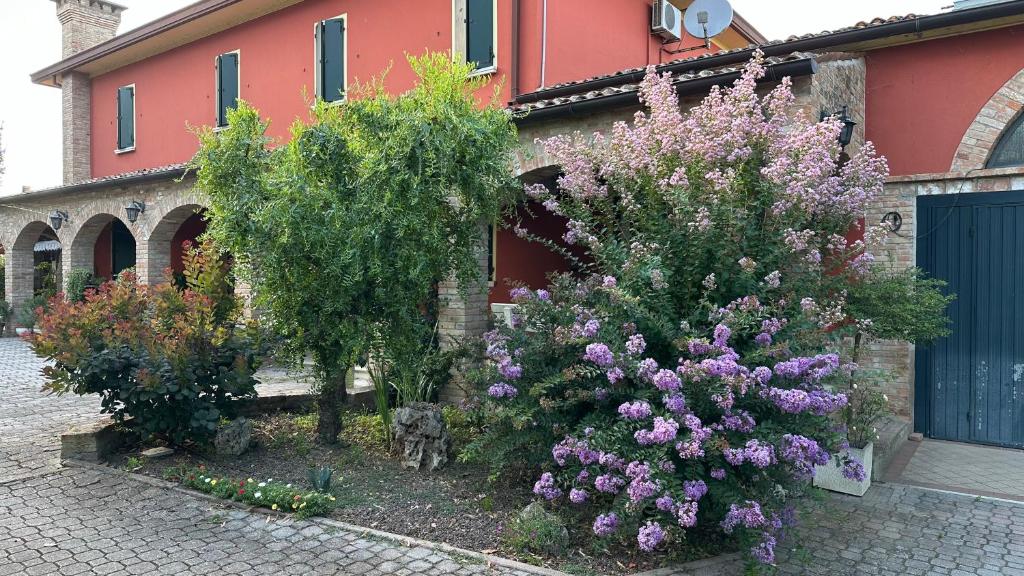 Zahrada ubytování B&B La Giganta