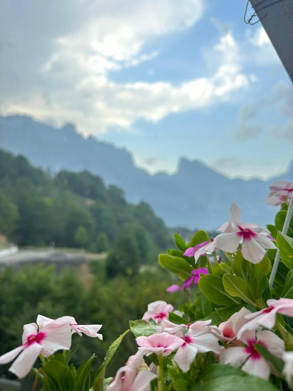 Nespecifikovaný výhled na hory nebo výhled na hory při pohledu z bed and breakfast
