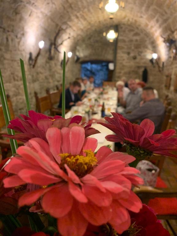 Restaurace v ubytování Starý Jičín 11