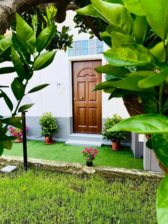 Zahrada ubytování B&B Paola City