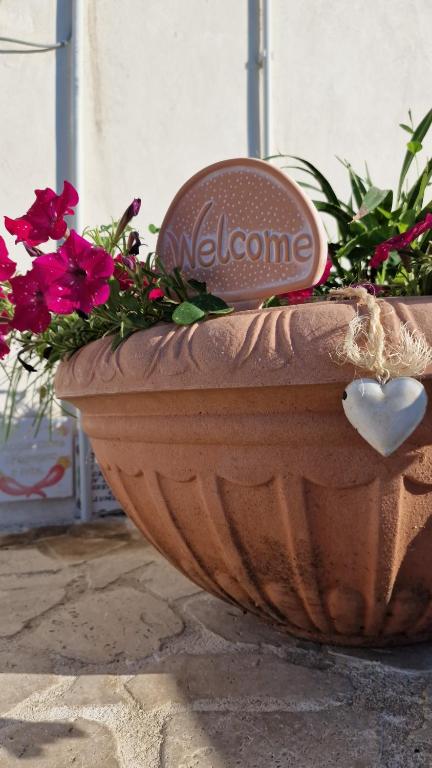 Fotografie z fotogalerie ubytování Bella Vita Ariccia v destinaci Ariccia