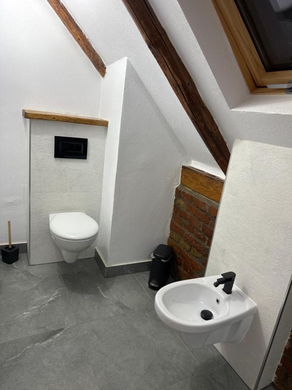 Casa de Lemn Arpasu de jos - Chambre Double Avec Salle De Bain Privée