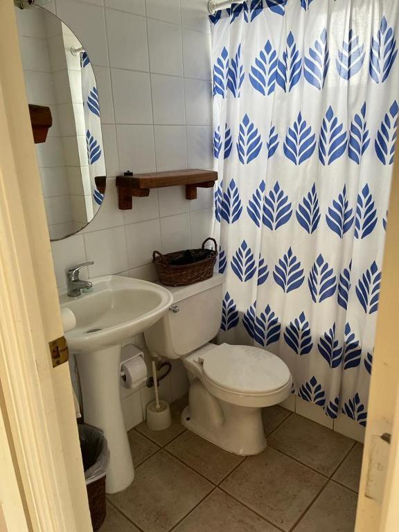 a bathroom with a toilet and a sink and a shower curtain at Horcon Condominio CAUCAU in Horcón
