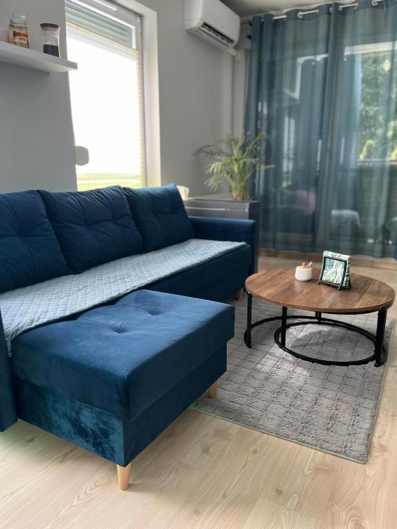 ein Wohnzimmer mit einer blauen Couch und einem Couchtisch in der Unterkunft Apartament u Buni in Breslau
