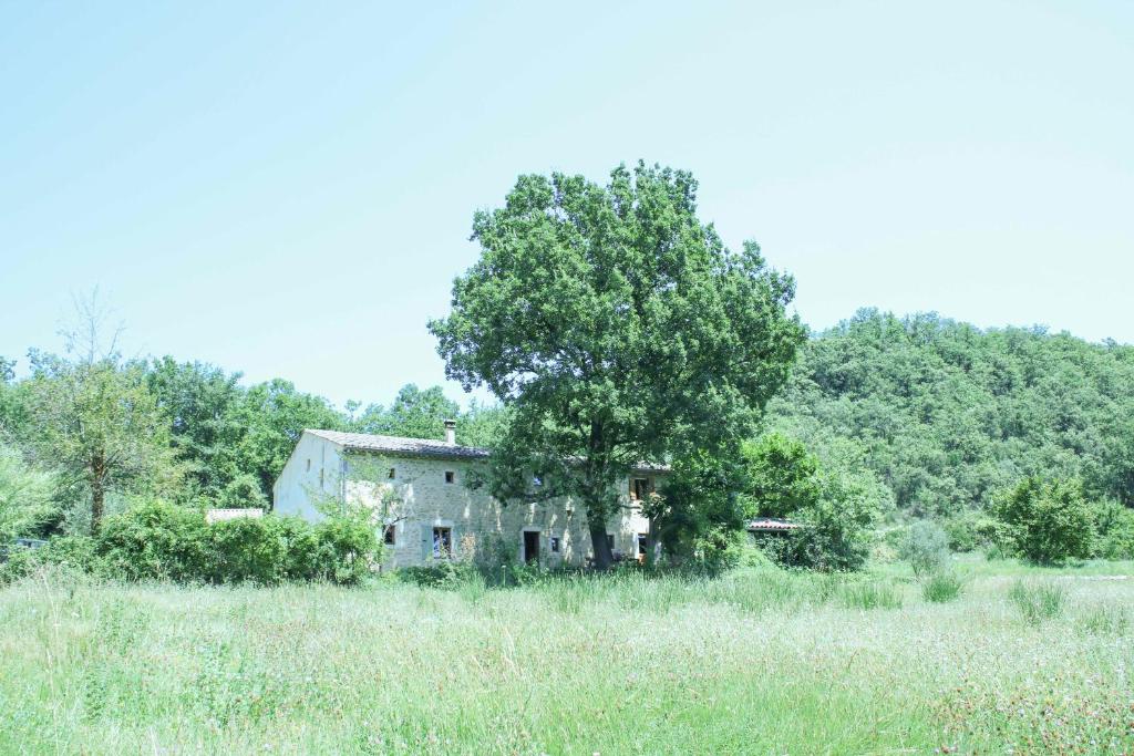 ein altes Haus auf einem Feld mit einem Baum in der Unterkunft Maison de vacances, calme garanti in Saint-Montan